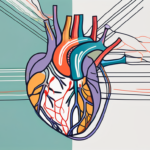 Mandibular Nerve and Your Heart